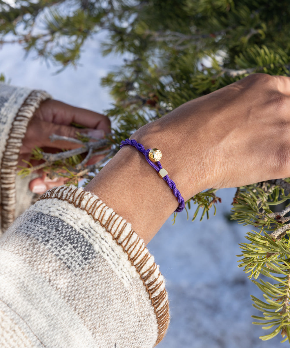 Ed Royal Purple | Gold